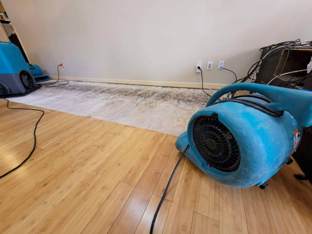 Professional Water Removal technician working in Amherst, NH